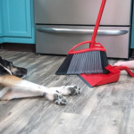O-Cedar Pet Pro Broom with Step-On Dustpan | Remove 99% with One Sweep | Removes 3 Times More Pet Hair | Quiet Cleaning Tool for Cat and Dog Owners - Image 7