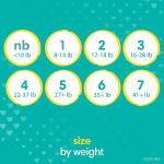 Pampers Baby Diapers and Wipes Starter Kit, Swaddlers Disposable Sizes 1 (198 Count) & 2 (186 Count) with Sensitive Water Based 12X Multi Pack Pop-Top Refill (1008 Count) - Image 5