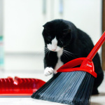 O-Cedar Pet Pro Broom with Step-On Dustpan | Remove 99% with One Sweep | Removes 3 Times More Pet Hair | Quiet Cleaning Tool for Cat and Dog Owners - Image 10